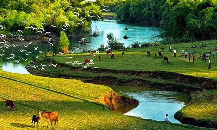 Những mảng màu của mùa hạ luôn mang theo nỗi nhớ về một thời vô tư lự. (Ảnh minh họa)