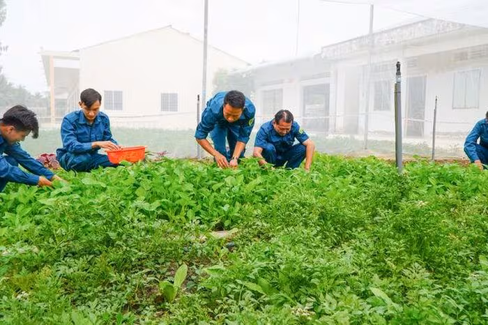 Tăng gia, bảo đảm bữa ăn bộ đội